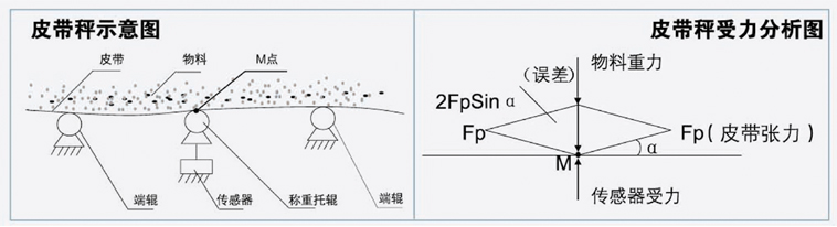 漳州皮帶秤 漳州皮帶秤